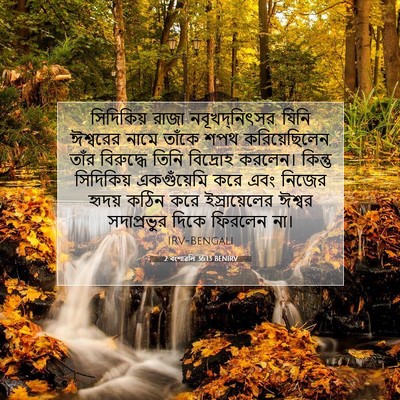 Picture 07 - 2 বংশাৱলি 36:13 BENIRV - সিদিকিয় রাজা - Bible Verse Picture