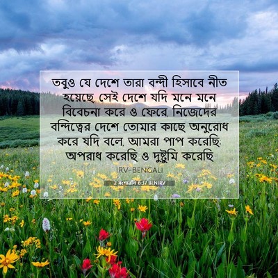 Picture 07 - 2 বংশাৱলি 6:37 BENIRV - তবুও যে দেশে তারা - Bible Verse Picture