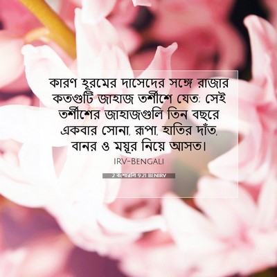 Picture 07 - 2 বংশাৱলি 9:21 BENIRV - কারণ হূরমের - Bible Verse Picture