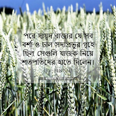Picture 07 - 2 ৰাজাৱলি 11:10 BENIRV - পরে দায়ূদ রাজার - Bible Verse Picture
