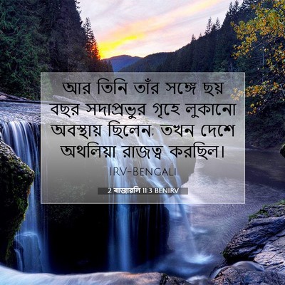Picture 07 - 2 ৰাজাৱলি 11:3 BENIRV - আর তিনি তাঁর সঙ্গে - Bible Verse Picture
