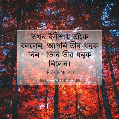 Picture 07 - 2 ৰাজাৱলি 13:15 BENIRV - তখন ইলীশায় তাঁকে - Bible Verse Picture