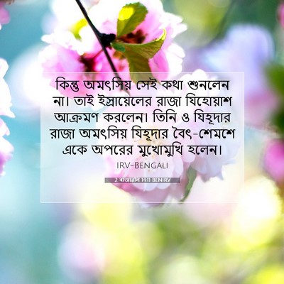 Picture 07 - 2 ৰাজাৱলি 14:11 BENIRV - কিন্তু অমৎসিয় - Bible Verse Picture