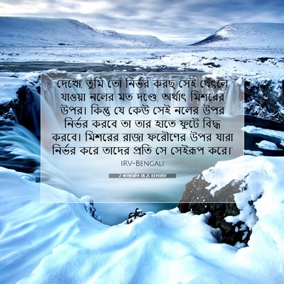 Picture 07 - 2 ৰাজাৱলি 18:21 BENIRV - দেখো, তুমি তো - Bible Verse Picture