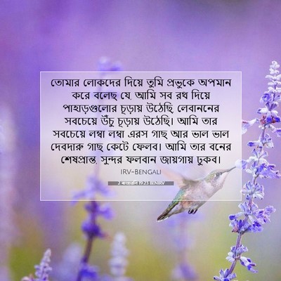 Picture 07 - 2 ৰাজাৱলি 19:23 BENIRV - তোমার লোকদের - Bible Verse Picture