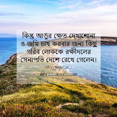 Picture 07 - 2 ৰাজাৱলি 25:12 BENIRV - কিন্তু আঙুর ক্ষেত - Bible Verse Picture