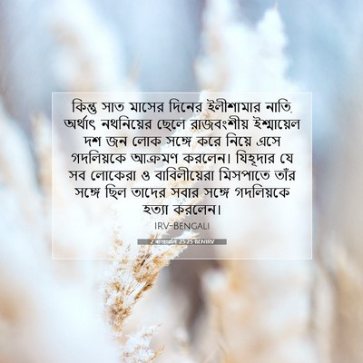 Picture 07 - 2 ৰাজাৱলি 25:25 BENIRV - কিন্তু সাত মাসের - Bible Verse Picture