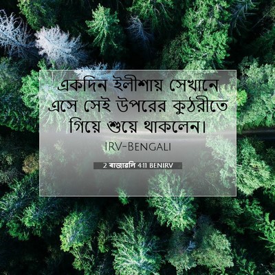 Picture 07 - 2 ৰাজাৱলি 4:11 BENIRV - একদিন ইলীশায় - Bible Verse Picture