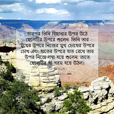 Picture 07 - 2 ৰাজাৱলি 4:34 BENIRV - তারপর তিনি - Bible Verse Picture
