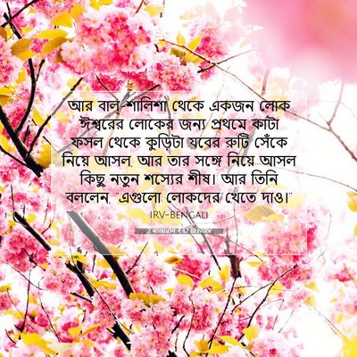 Picture 07 - 2 ৰাজাৱলি 4:42 BENIRV - আর বাল্‌-শালিশা - Bible Verse Picture