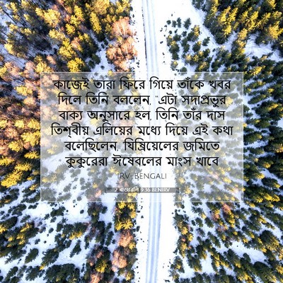 Picture 07 - 2 ৰাজাৱলি 9:36 BENIRV - কাজেই তারা ফিরে - Bible Verse Picture