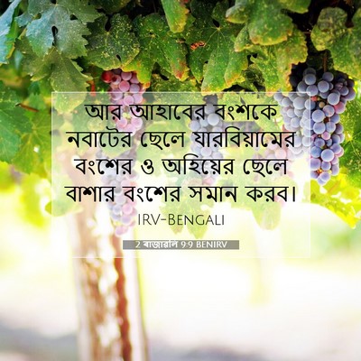Picture 07 - 2 ৰাজাৱলি 9:9 BENIRV - আর আহাবের বংশকে - Bible Verse Picture