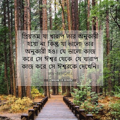 Picture 07 - 3 যোহনের 1:11 BENIRV - প্রিয়তম, যা খারাপ - Bible Verse Picture