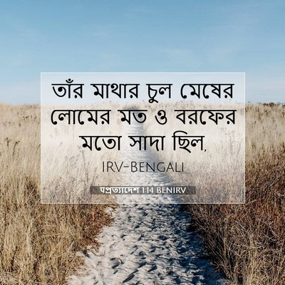 Picture 07 - पপ্রত্যাদেশ 1:14 BENIRV - তাঁর মাথার চুল - Bible Verse Picture