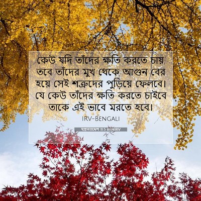 Picture 07 - पপ্রত্যাদেশ 11:5 BENIRV - কেউ যদি তাঁদের - Bible Verse Picture