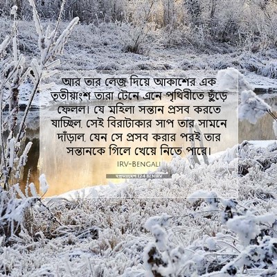 Picture 07 - पপ্রত্যাদেশ 12:4 BENIRV - আর তার লেজ দিয়ে - Bible Verse Picture