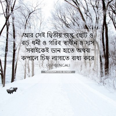 Picture 07 - पপ্রত্যাদেশ 13:16 BENIRV - আর সেই দ্বিতীয় - Bible Verse Picture
