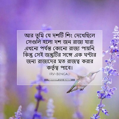 Picture 07 - पপ্রত্যাদেশ 17:12 BENIRV - আর তুমি যে দশটি শিং - Bible Verse Picture