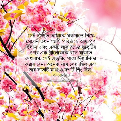 Picture 07 - पপ্রত্যাদেশ 17:3 BENIRV - সেই স্বর্গদূত - Bible Verse Picture