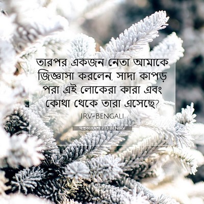 Picture 07 - पপ্রত্যাদেশ 7:13 BENIRV - তারপর একজন নেতা - Bible Verse Picture