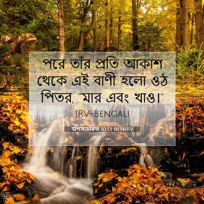 Picture 07 - पশিষ্যচরিত 10:13 BENIRV - পরে তাঁর প্রতি - Bible Verse Picture