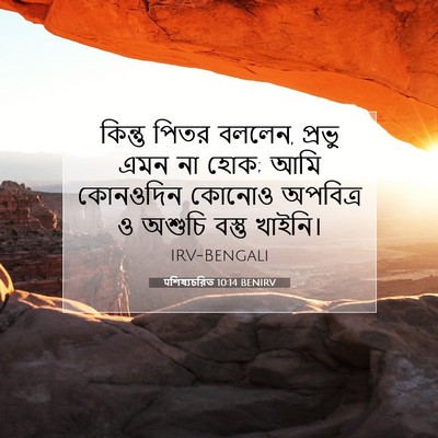 Picture 07 - पশিষ্যচরিত 10:14 BENIRV - কিন্তু পিতর বললেন, - Bible Verse Picture