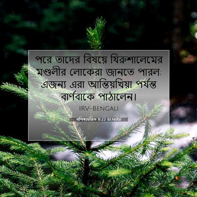Picture 07 - पশিষ্যচরিত 11:22 BENIRV - পরে তাদের বিষয়ে - Bible Verse Picture