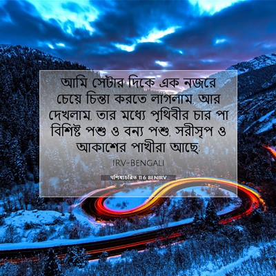 Picture 07 - पশিষ্যচরিত 11:6 BENIRV - আমি সেটার দিকে এক - Bible Verse Picture