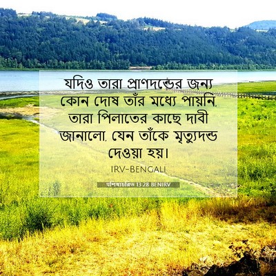 Picture 07 - पশিষ্যচরিত 13:28 BENIRV - যদিও তারা - Bible Verse Picture