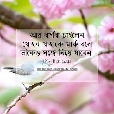Picture 07 - पশিষ্যচরিত 15:37 BENIRV - আর বার্ণবা চাইলেন, - Bible Verse Picture