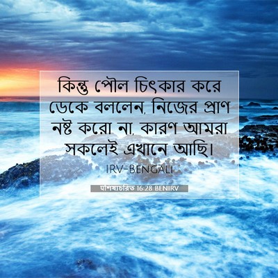 Picture 07 - पশিষ্যচরিত 16:28 BENIRV - কিন্তু পৌল চিৎকার - Bible Verse Picture