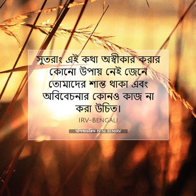 Picture 07 - पশিষ্যচরিত 19:36 BENIRV - সুতরাং এই কথা - Bible Verse Picture