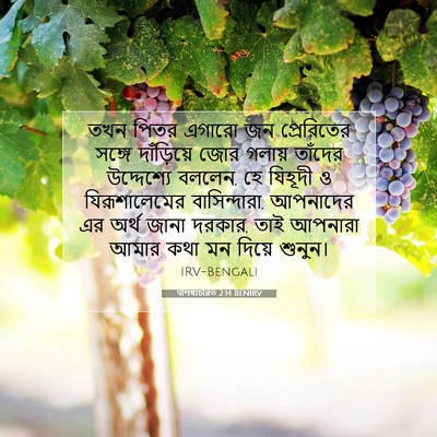 Picture 07 - पশিষ্যচরিত 2:14 BENIRV - তখন পিতর এগারো জন - Bible Verse Picture