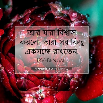Picture 07 - पশিষ্যচরিত 2:44 BENIRV - আর যারা বিশ্বাস - Bible Verse Picture