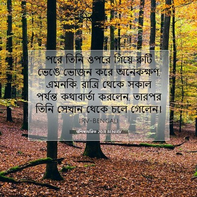 Picture 07 - पশিষ্যচরিত 20:11 BENIRV - পরে তিনি ওপরে - Bible Verse Picture