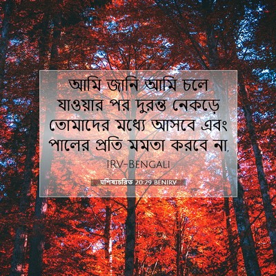 Picture 07 - पশিষ্যচরিত 20:29 BENIRV - আমি জানি আমি চলে - Bible Verse Picture
