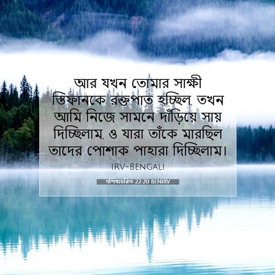 Picture 07 - पশিষ্যচরিত 22:20 BENIRV - আর যখন তোমার - Bible Verse Picture