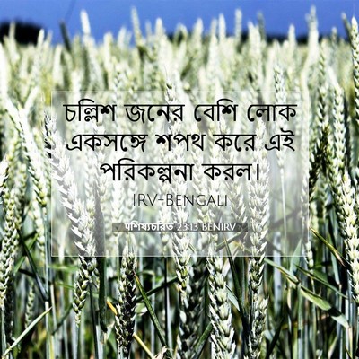 Picture 07 - पশিষ্যচরিত 23:13 BENIRV - চল্লিশ জনের বেশি - Bible Verse Picture