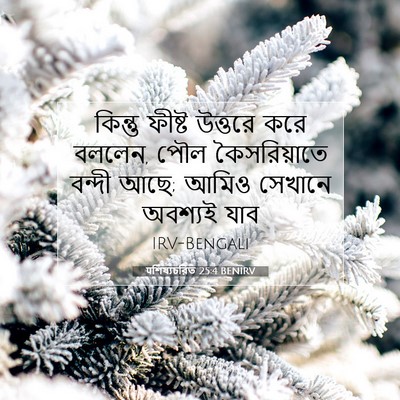 Picture 07 - पশিষ্যচরিত 25:4 BENIRV - কিন্তু ফীষ্ট - Bible Verse Picture