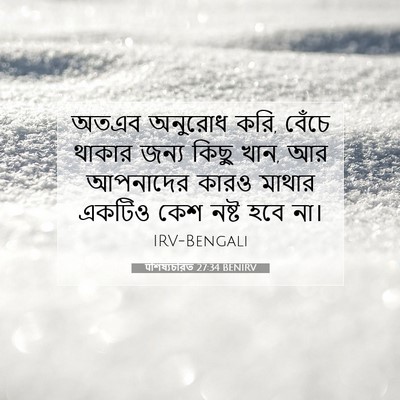 Picture 07 - पশিষ্যচরিত 27:34 BENIRV - অতএব অনুরোধ করি, - Bible Verse Picture