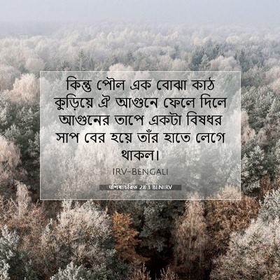 Picture 07 - पশিষ্যচরিত 28:3 BENIRV - কিন্তু পৌল এক বোঝা - Bible Verse Picture