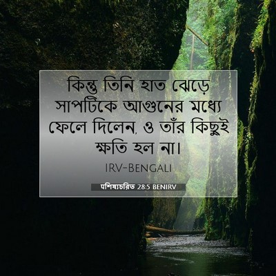 Picture 07 - पশিষ্যচরিত 28:5 BENIRV - কিন্তু তিনি হাত - Bible Verse Picture