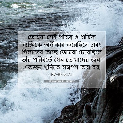 Picture 07 - पশিষ্যচরিত 3:14 BENIRV - তোমরা সেই পবিত্র ও - Bible Verse Picture