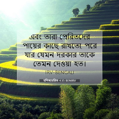 Picture 07 - पশিষ্যচরিত 4:35 BENIRV - এবং তারা - Bible Verse Picture