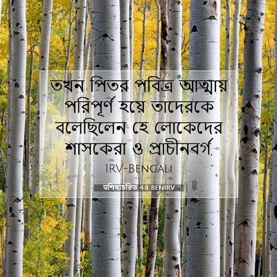 Picture 07 - पশিষ্যচরিত 4:8 BENIRV - তখন পিতর পবিত্র - Bible Verse Picture