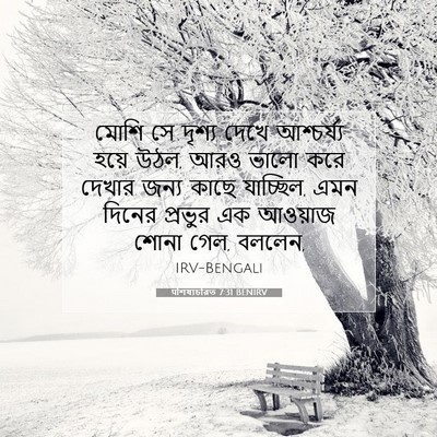 Picture 07 - पশিষ্যচরিত 7:31 BENIRV - মোশি সে দৃশ্য দেখে - Bible Verse Picture
