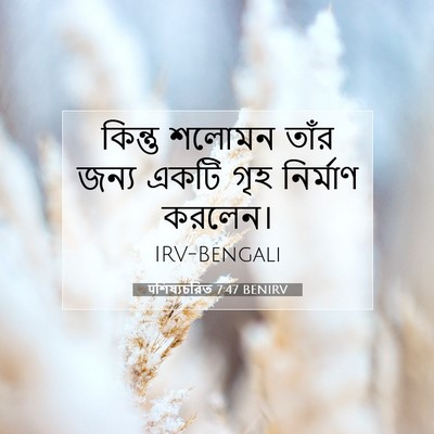 Picture 07 - पশিষ্যচরিত 7:47 BENIRV - কিন্তু শলোমন তাঁর - Bible Verse Picture