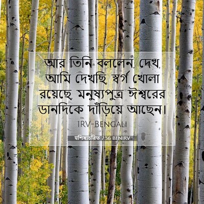 Picture 07 - पশিষ্যচরিত 7:56 BENIRV - আর তিনি বললেন, দেখ, - Bible Verse Picture