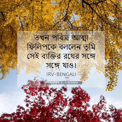 Picture 07 - पশিষ্যচরিত 8:29 BENIRV - তখন পবিত্র আত্মা - Bible Verse Picture