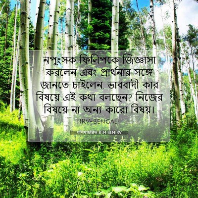 Picture 07 - पশিষ্যচরিত 8:34 BENIRV - নপুংসক ফিলিপকে - Bible Verse Picture